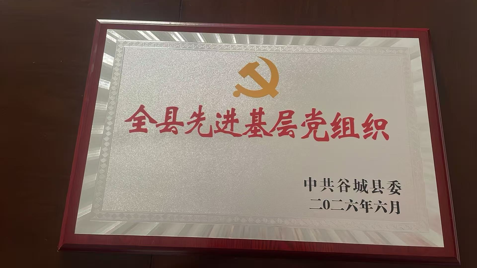 谷城县人民检察院第二支部委员会荣获&ldquo;全县先进基层党组织&rdquo;称号